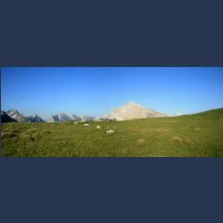 2010-07-09_18-06_Karwendel-HW_Brunnensteinanger (1)_Pano.JPG